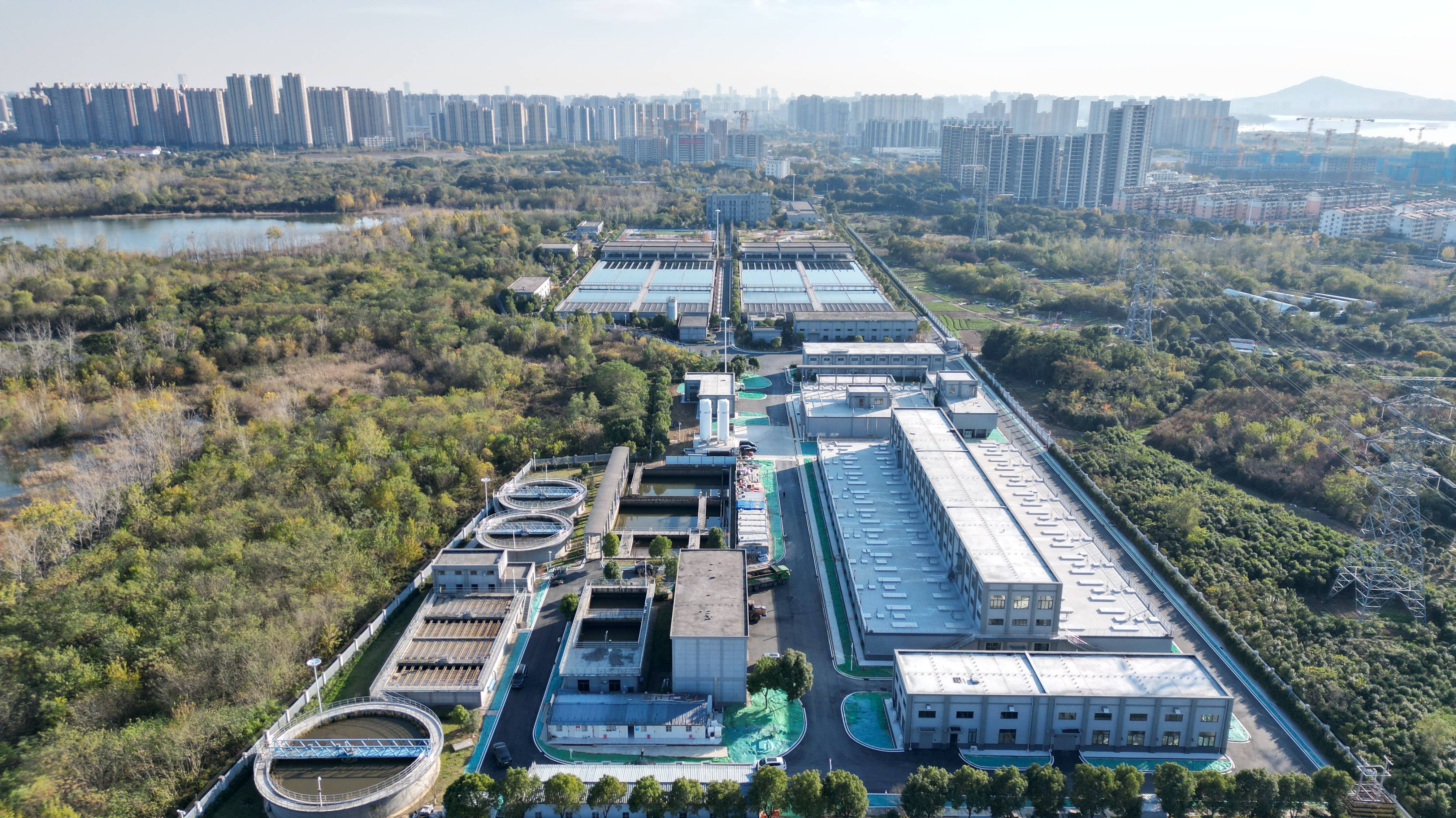 濮阳市合肥专业企业价值增长(合肥市重点企业产业目录)