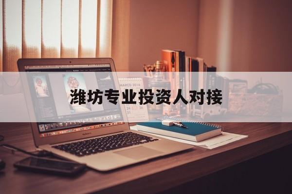 濮阳市潍坊专业投资人对接(潍坊专业投资人对接中心)