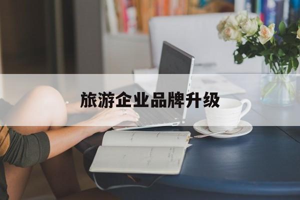 濮阳市旅游企业品牌升级(旅游企业品牌升级措施)