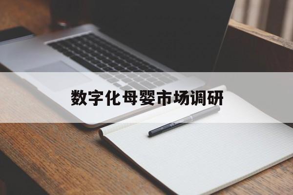 濮阳市数字化母婴市场调研(数字化母婴市场调研报告)