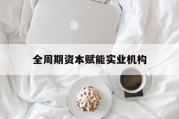 濮阳市全周期资本赋能实业机构(全周期管理)